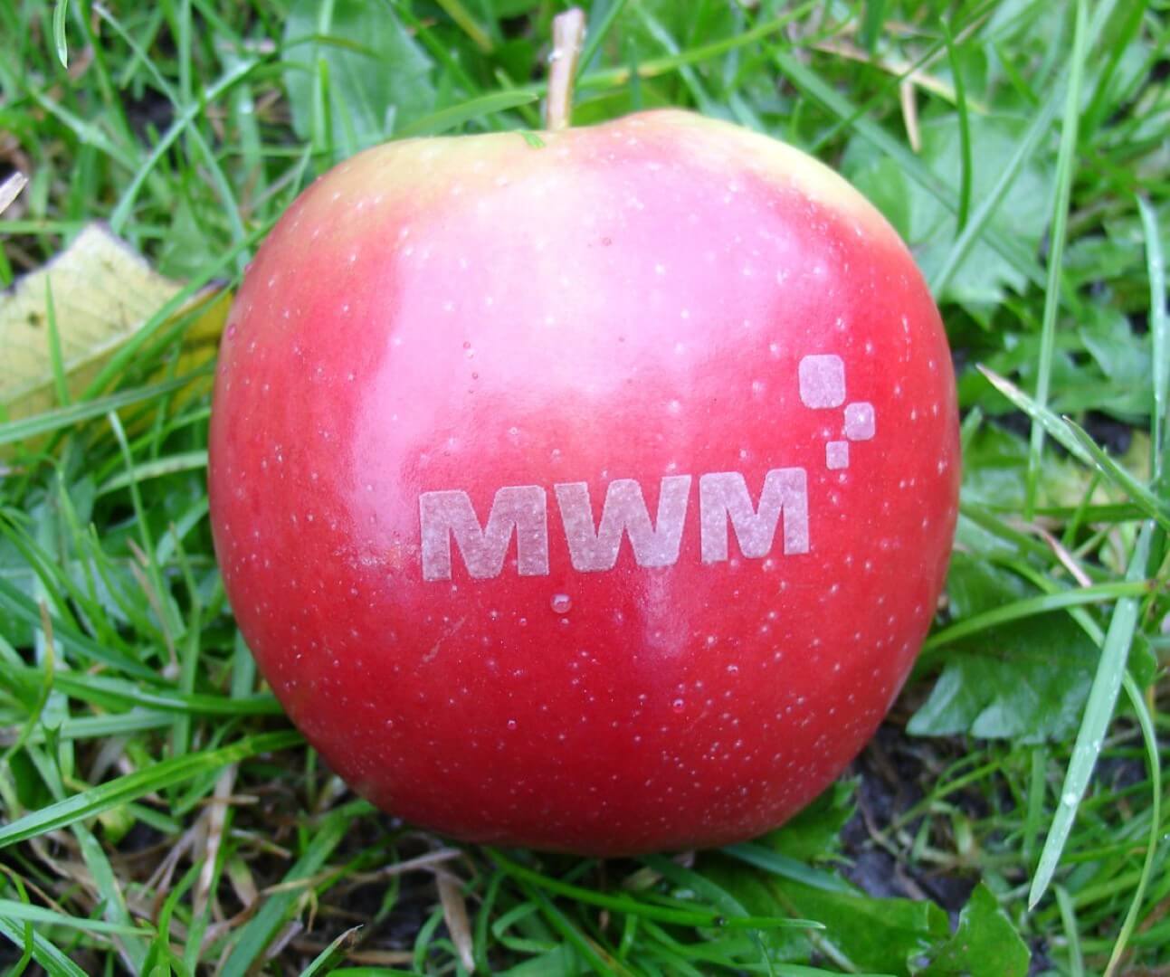 Gas Engines (MWM)